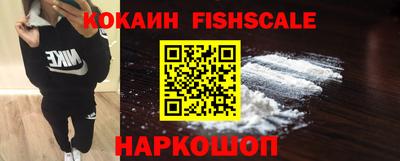 гидра Брянск