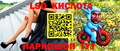 гидра Брянск