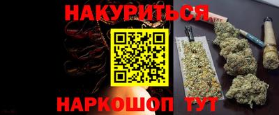 гидра Брянск