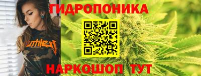 твердый Боровичи
