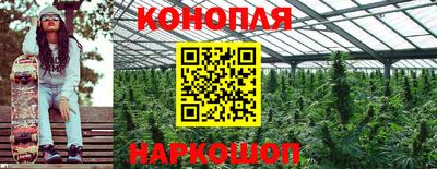 гидра Брянск