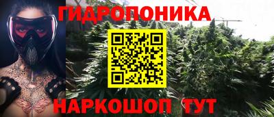 твердый Боровичи